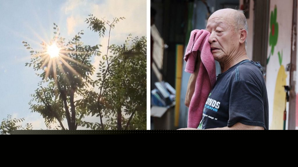 Record heatwave in South Korea as temperatures soar to 42.5C