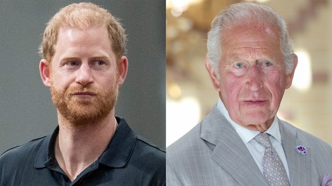 Harry Reportedly Considering Public Apology to Charles as Source Reveals He Could Officially Rejoin the Royals as Early as This Year