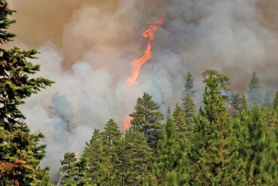 Clatsop County news briefs for Aug. 11
