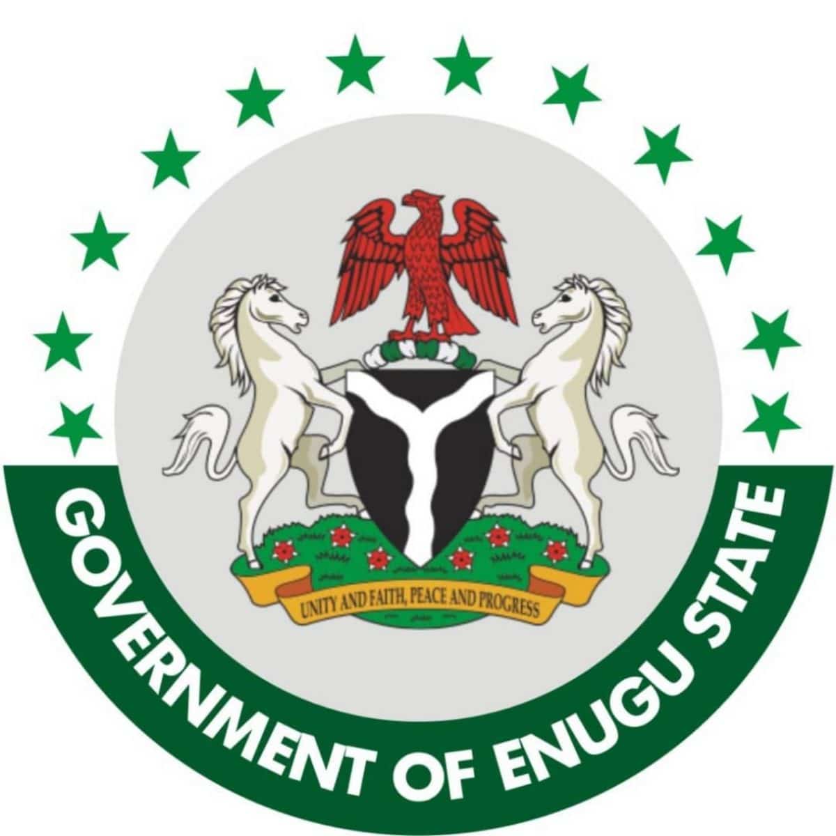Enugu Govt suspends traditional ruler over communal crisis