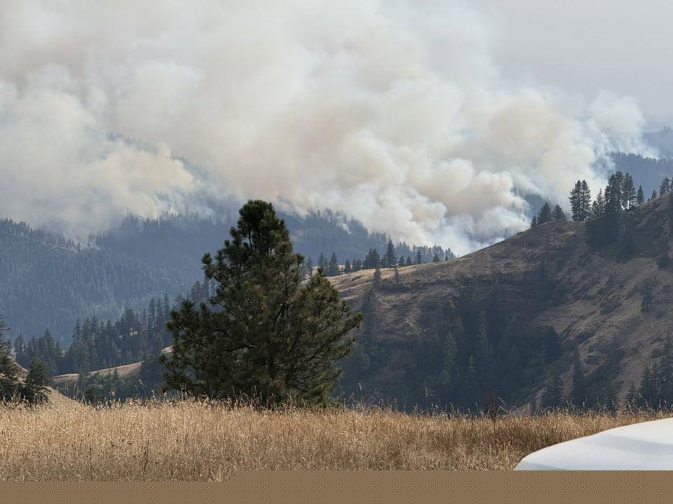 Bentz, Merkley team up on wildfire reduction act
