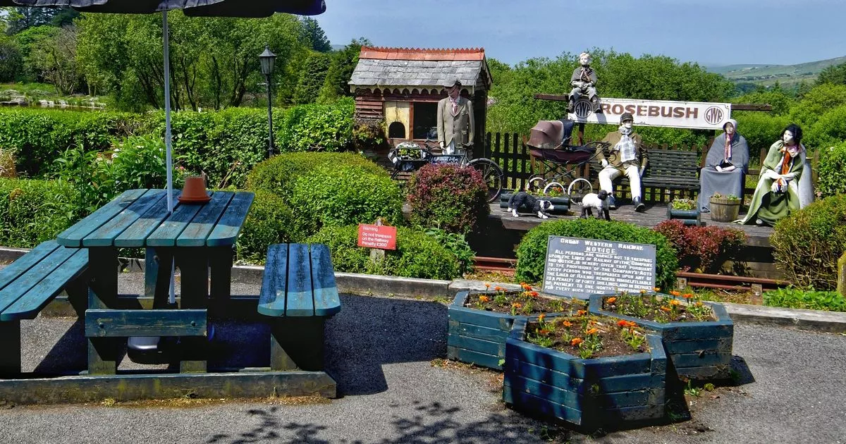 Weird Welsh pub in the middle of nowhere is one of the best in the UK and you have to see it to believe it