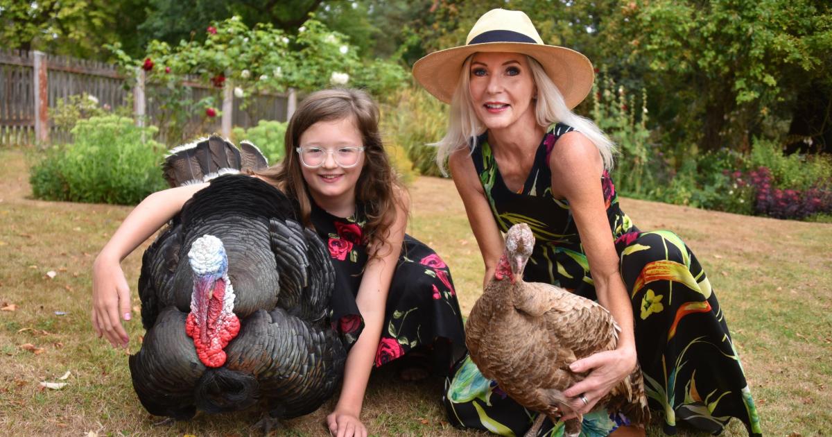 Animal lover with pet turkeys opening garden for summer fete