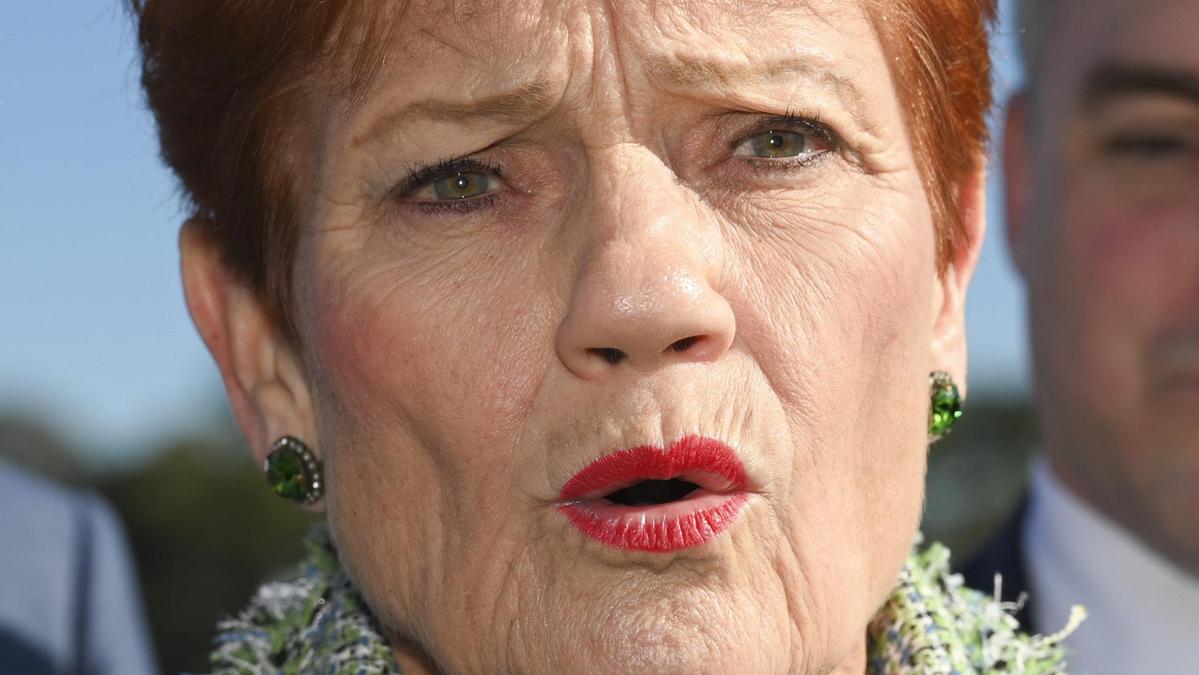 Pauline Hanson brushes off fears about impact of migration cuts on business and university sector