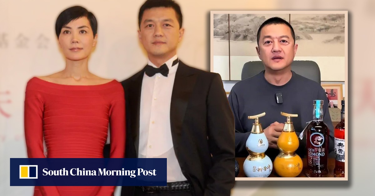 Li Yapeng, ex-husband of Cantopop queen, goes from ‘greasy uncle’ to ‘hero’ after funding appeal