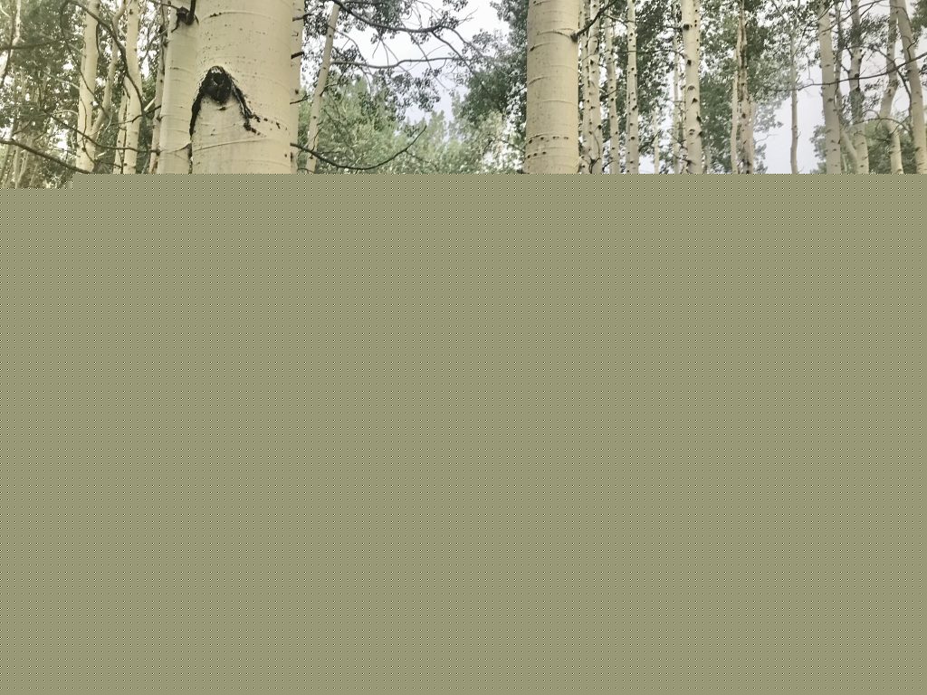 Trail of the Week: Meadow Mountain, Whiskey Creek, Everkrisp Loop
