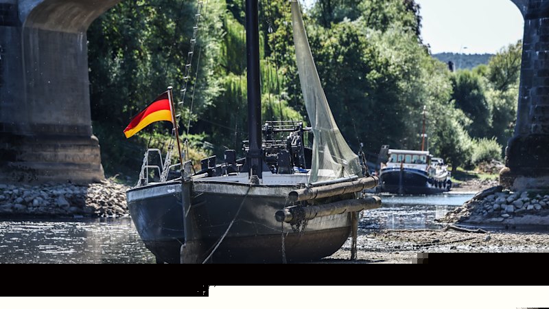 Germany’s Rhine River may ‘split in two’ as new heatwave roasts Europe
