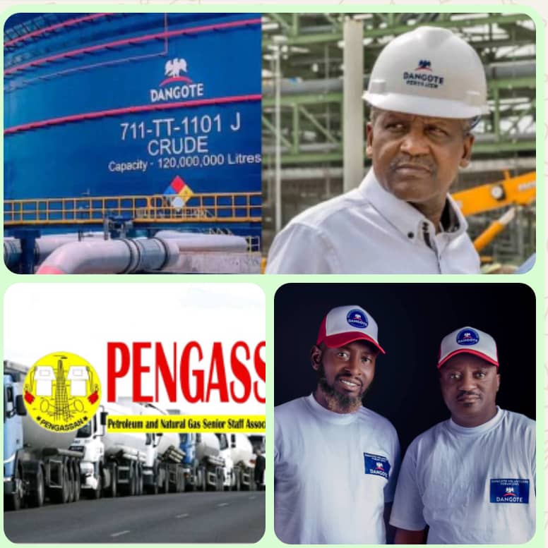 Arewa group, others drum support for Dangote Refinery. Says effort will protect investments, ensure safety and security of life of Nigerians