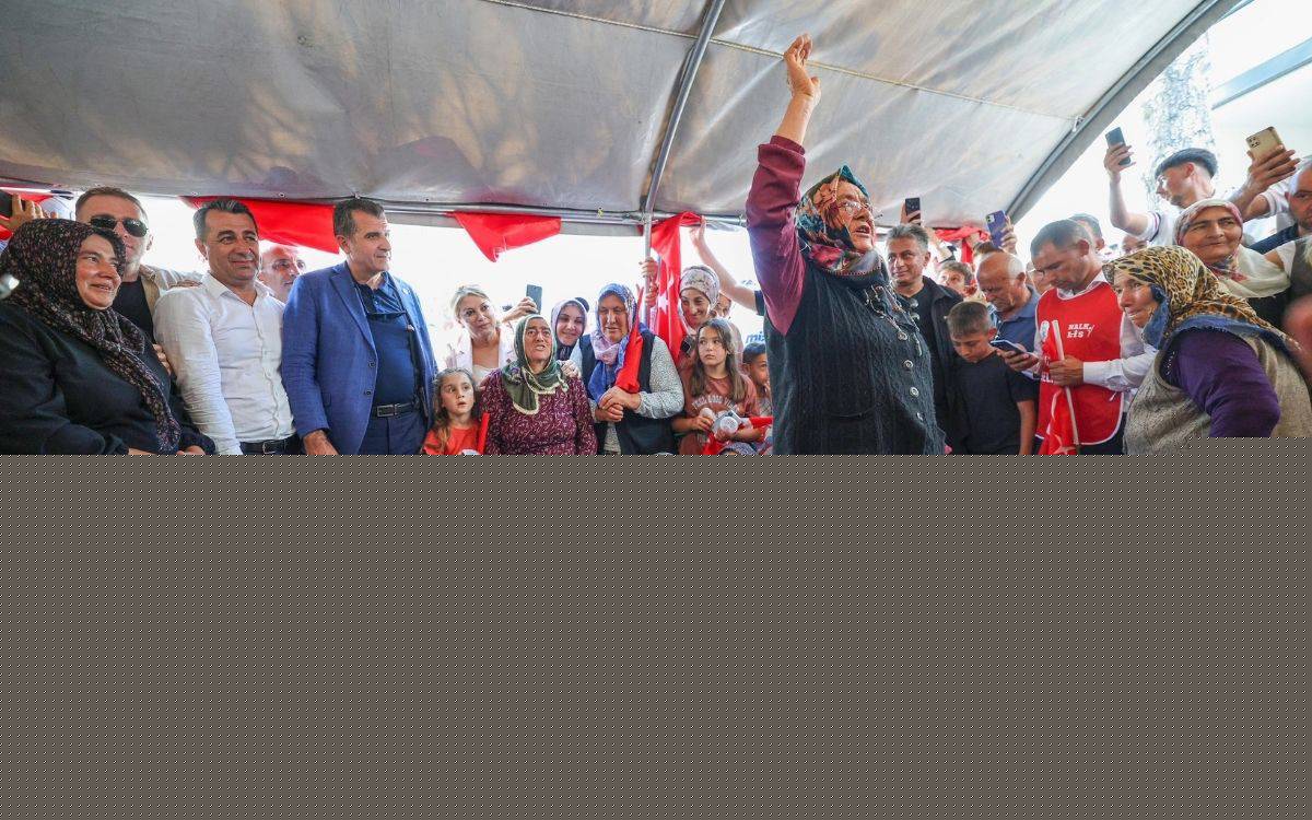 SAMER raporu: Yeni Parti "yenilenme" mi, "bölünme" mi sayılıyor?