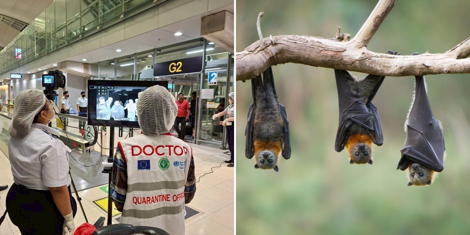 WHO lists Nipah among top 10 priority diseases after India outbreak, CDA reports no cases in S’pore