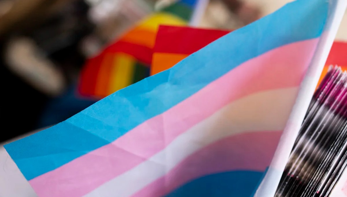 Judges weigh Title IX funding fight over Virginia schools’ pro-transgender bathroom policies
