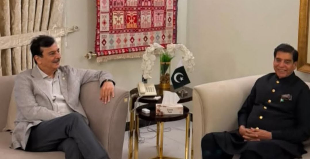 Senate Chairman Gilani, Raja Pervaiz Ashraf discuss political situation