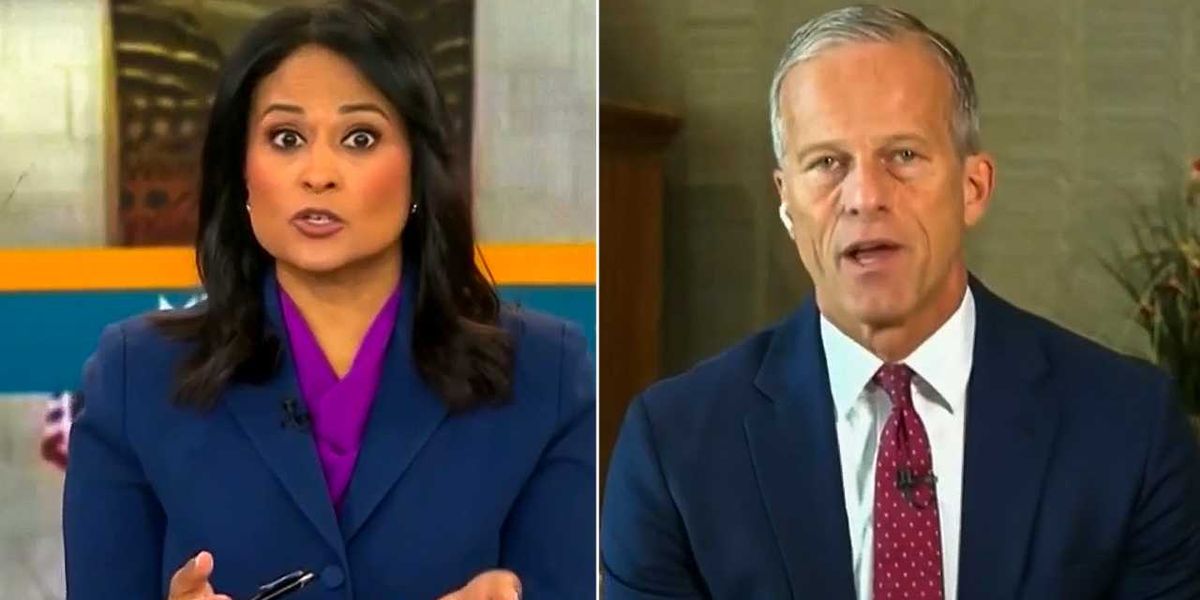 John Thune praises tariffs as he admits farmers have 'big harvest' with 'no place to go'