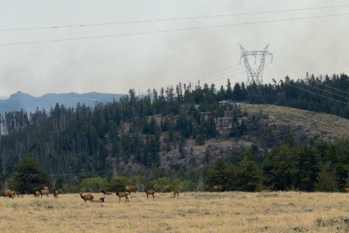 All Albany County Fish Creek Fire Evacuations Lifted