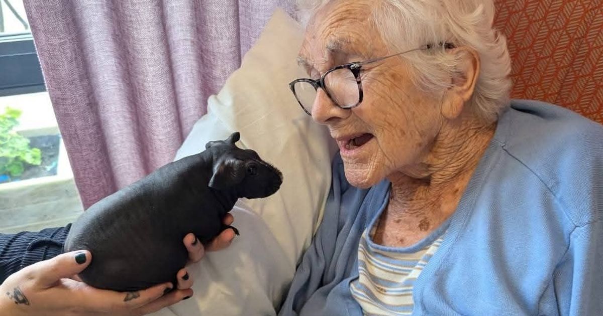 Hornsea care home welcomes cute companions for afternoon of animal therapy