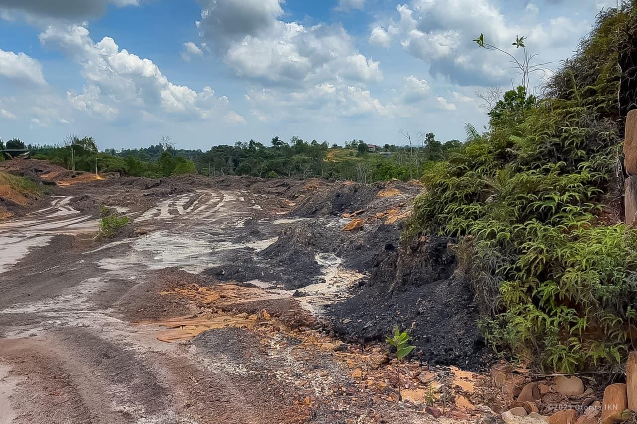 Tambang Batu Bara dan Perambahan Hutan Ilegal di Kawasan IKN Terungkap