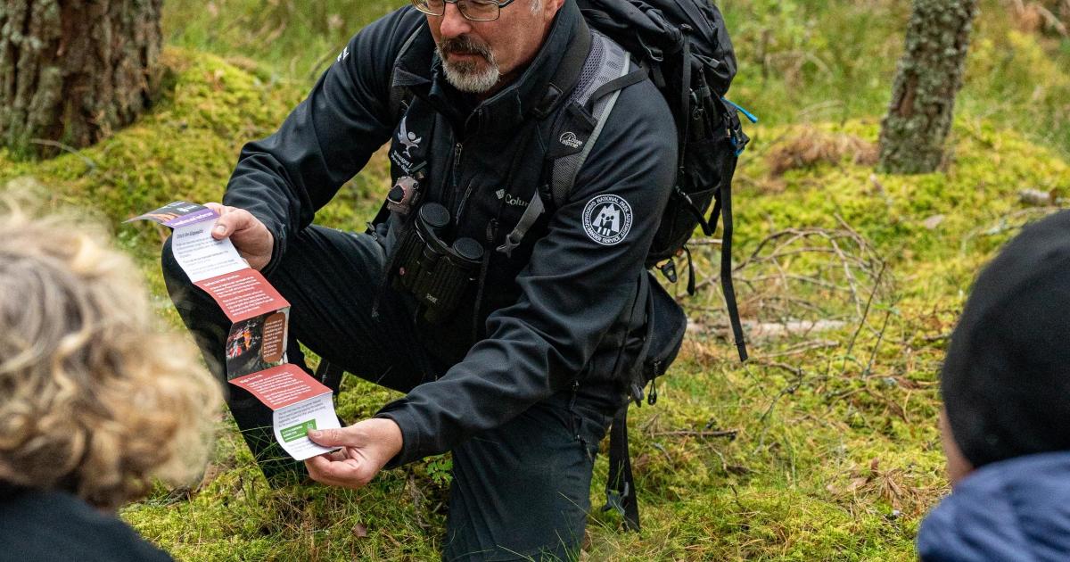 New byelaw adds weight to wildfire mitigation measures in National Park