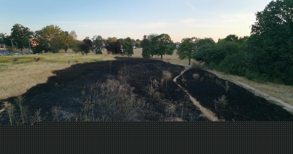 Spate of major grass fires and van alight across east London - Everything we know