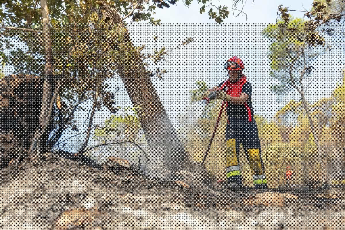 INFO VAR-MATIN. Emmanuel Macron va rencontrer les maires des communes touchées par le feu du Gros Bessillon ainsi que des pompiers qui ont mené le combat