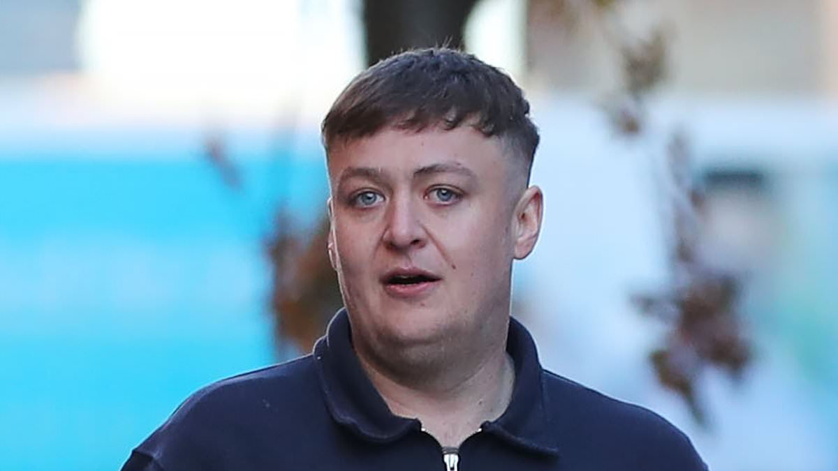 Drunken passenger who forced plane to turn back after proposing to air stewardess is jailed