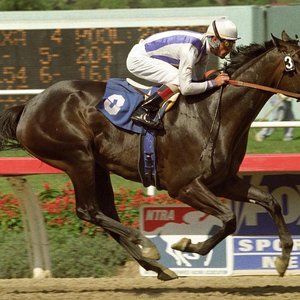 ‘The flashing, near-black spectre of Manistique on the march remains one of racing’s most thrilling sights’ – Jay Hovdey on Zenyatta’s predecessor