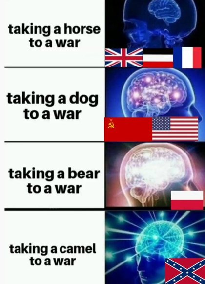 History Memes - Confederate Camel Regiment | History Memes