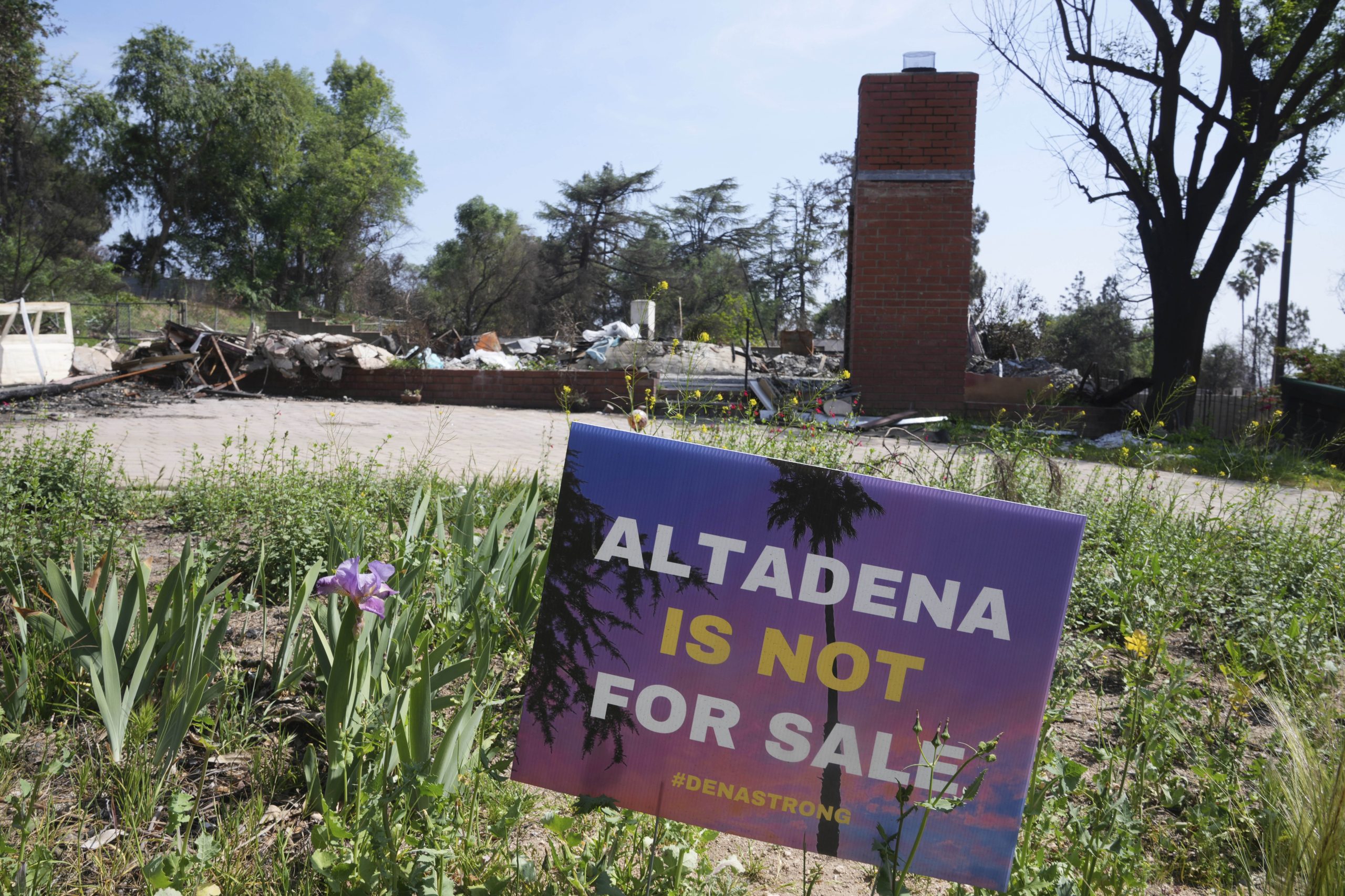 The fire is out, scars remain: What Altadena residents want people to know a year after the Eaton Fire