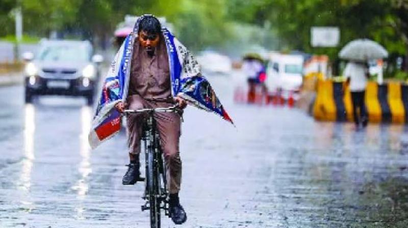 July Monsoon Defies IMD Forecast as India Records Above-Normal Rains: Report