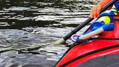 Once polluted, it’s now the Pennsylvania River of the Year for 2026