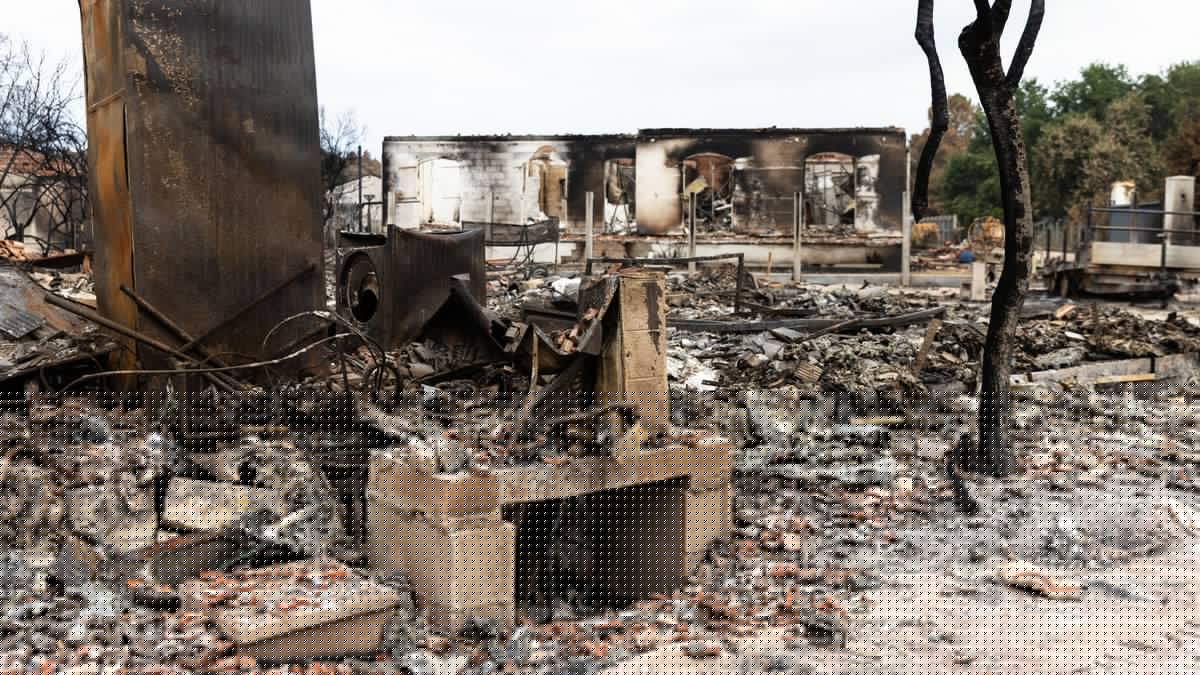 Incendies en Gironde : Kiev au soutien de la France, 70 pompiers ukrainiens déployés en renfort pour éteindre le mégafeu