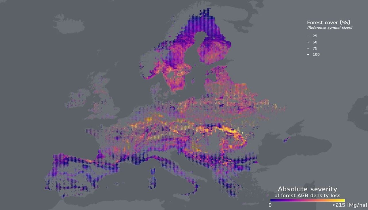 European forests have been losing more biomass since 2018 and storing less CO₂