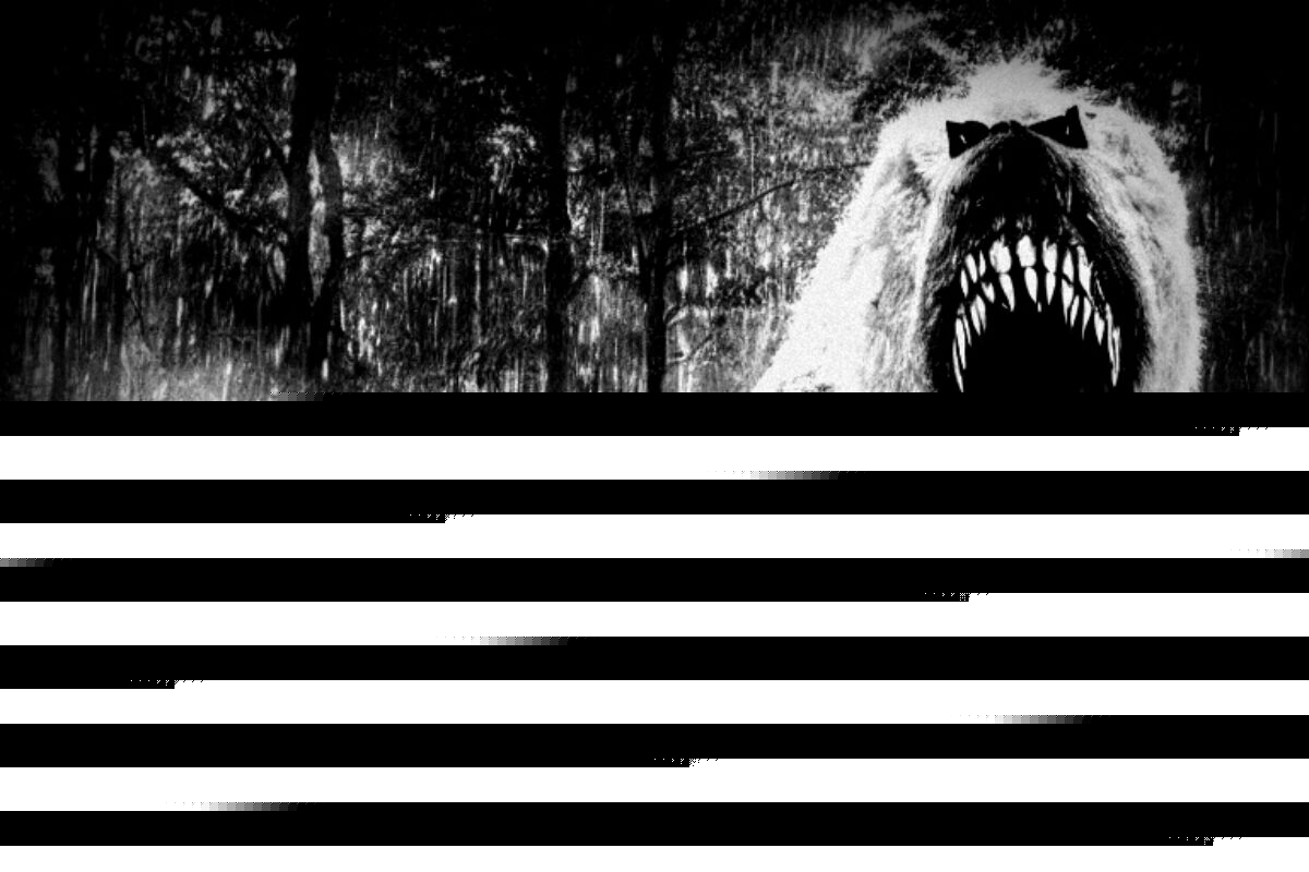 Comment on Tale of Kanawha County monster may have first been documented in 1950s by Sarah K Mcghee