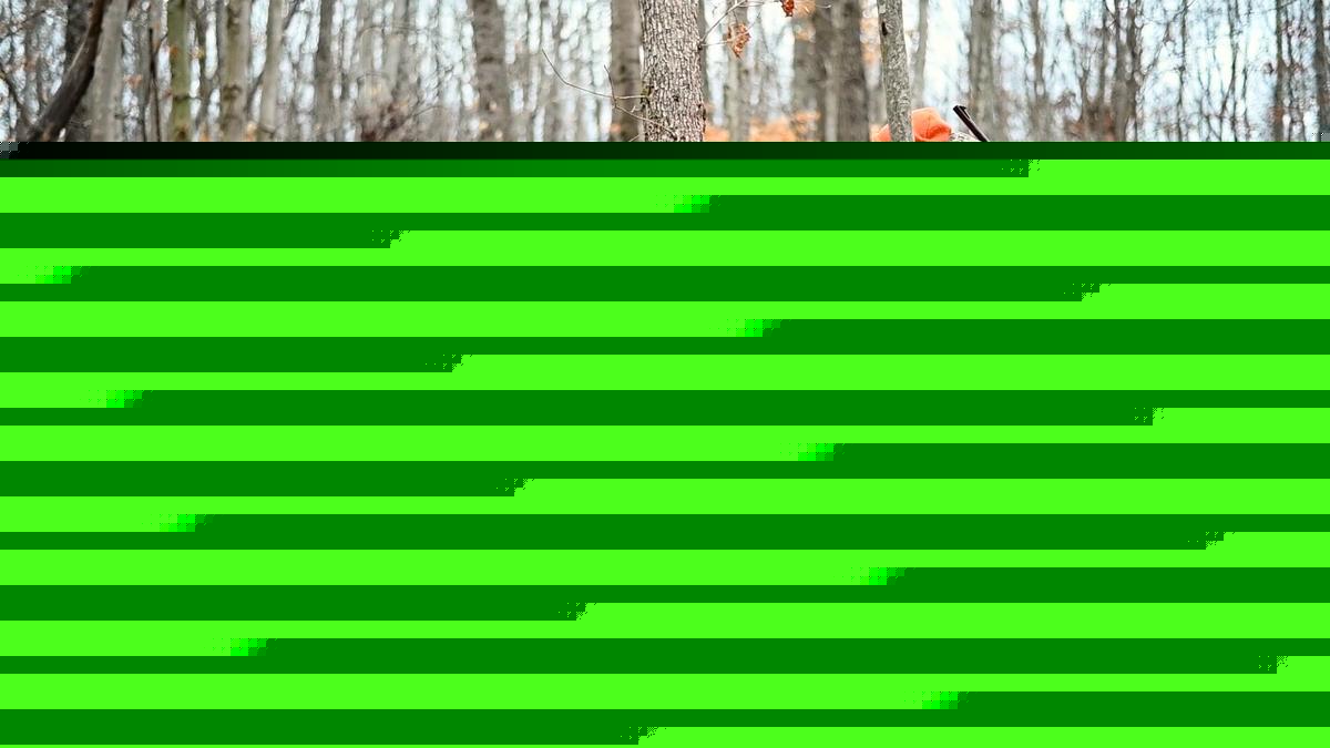 Hunters Asked To Provide Feedback on 60 Proposed Rule Changes