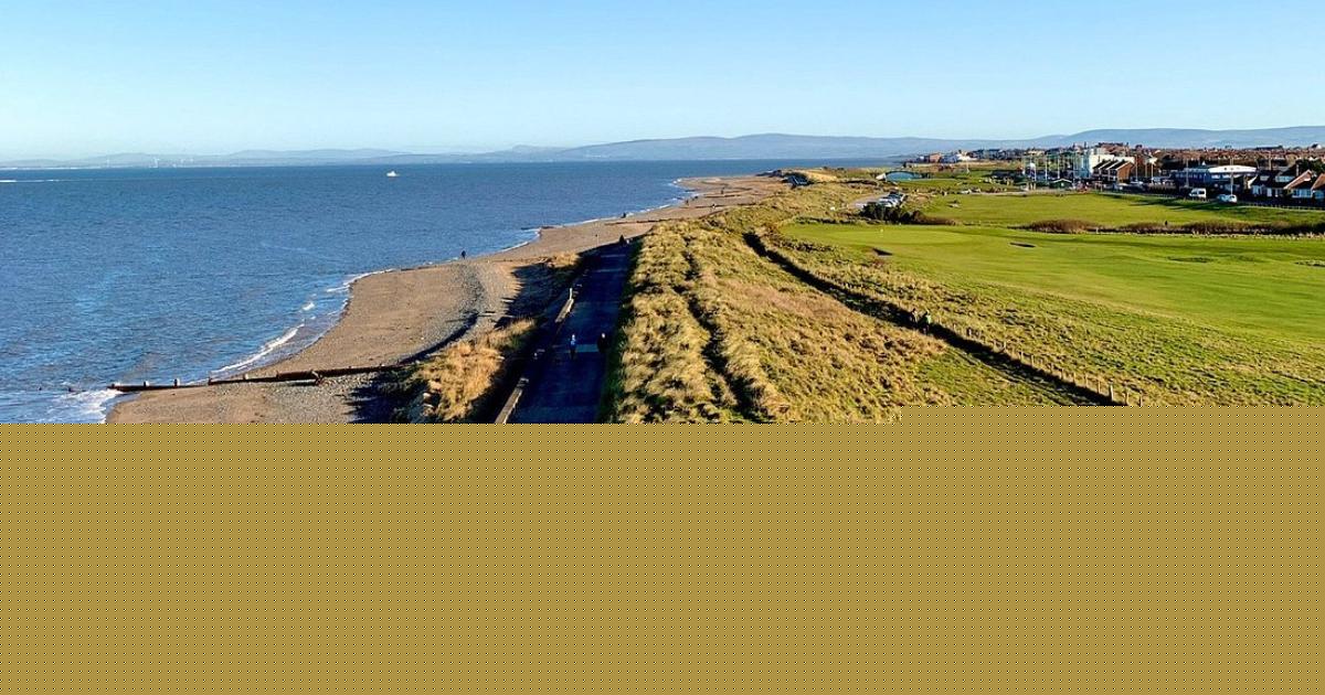 All the creatures you can spot off the Lancashire coast from sharks to porpoises