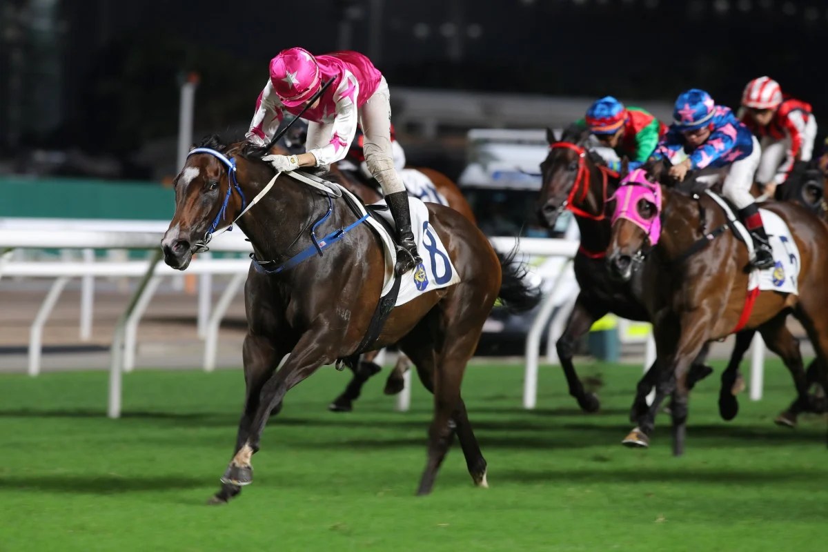 Fownes’ Joy to Spring into action whatever the weather at Sha Tin