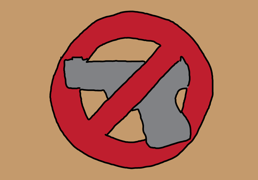 Rep. Brown, Sen. Roys propose gun safety legislation