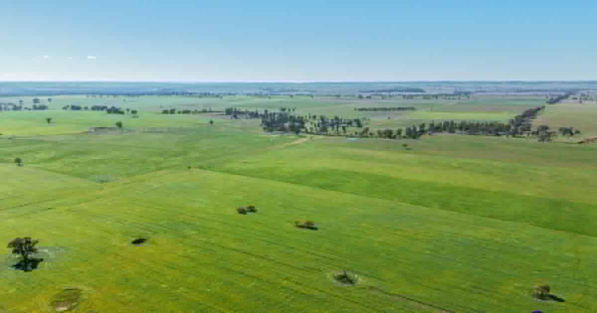 Quamby presents with fertile, arable basalt and red loam country | Photos
