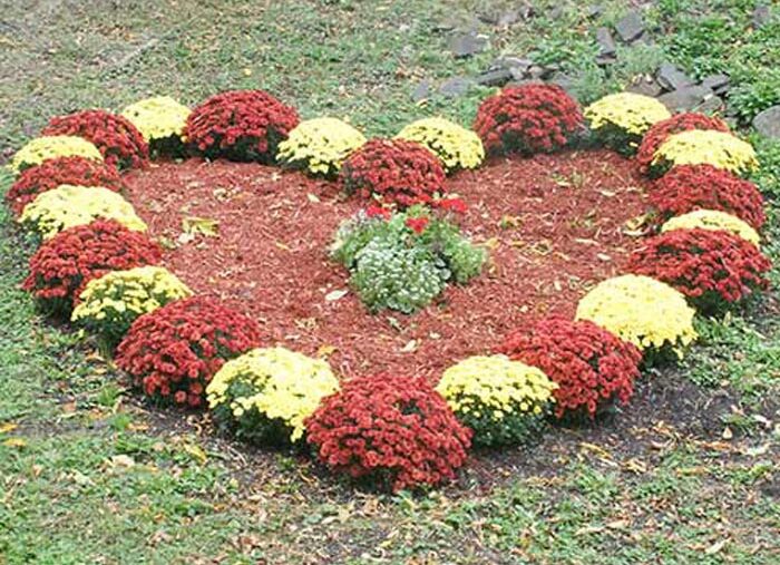 Mum Festival in Saugerties this Sunday