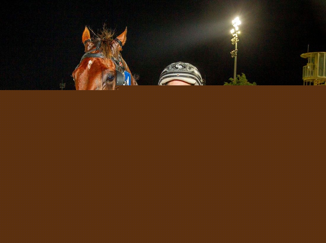Leap To Fame locked in for New Zealand Trotting Cup return