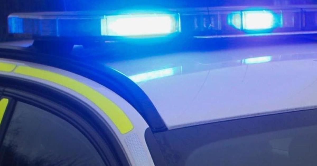 Thug who robbed Glasgow resident's handbag in broad daylight arrested