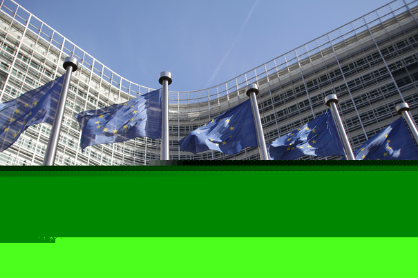 22 de lideri ai UE solicită discuţii de urgenţă privind criza migranţilor din Ceuta