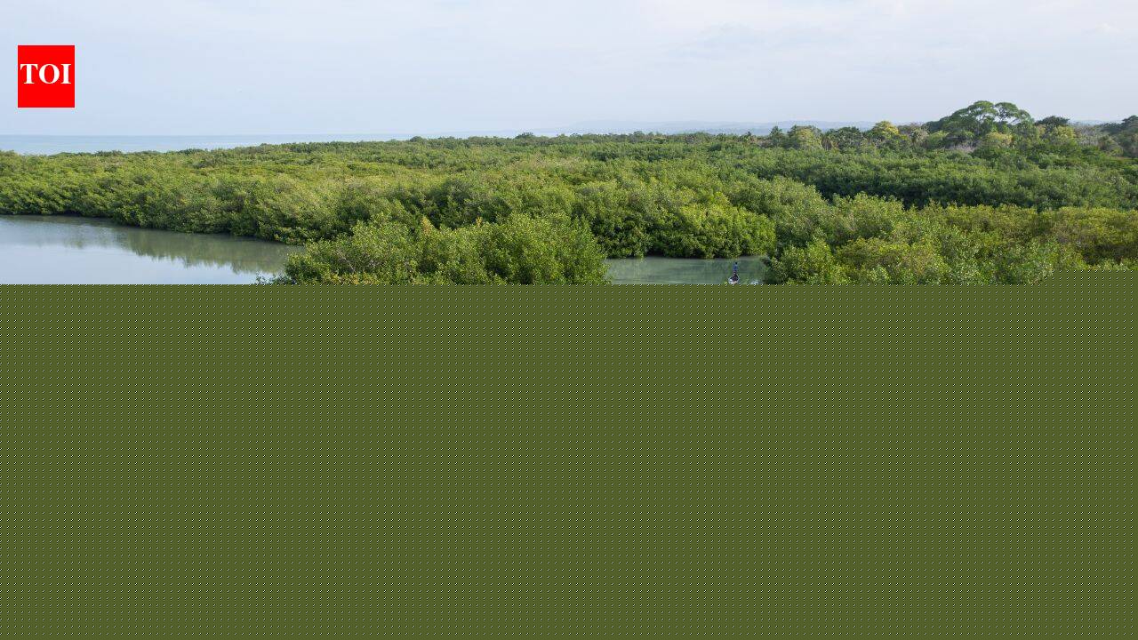 China spent $13.8bn restoring wetlands now valued at $434bn