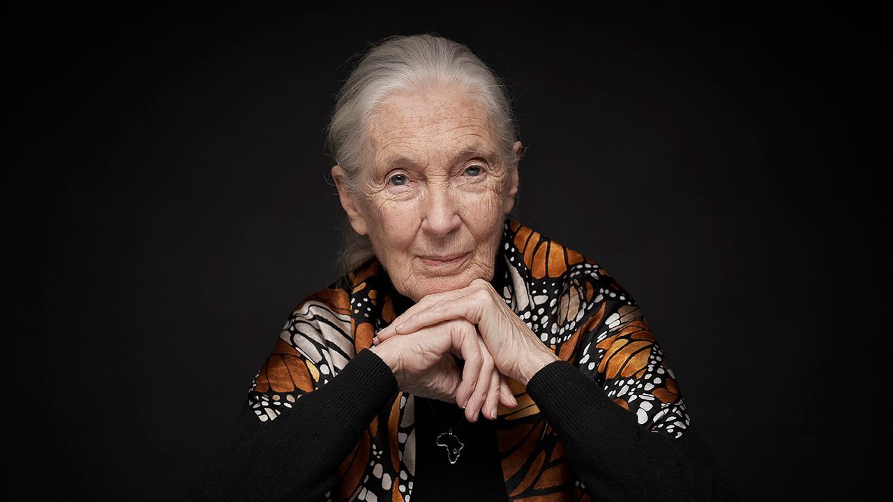 9 Life Lessons From Jane Goodall As She Turns 90