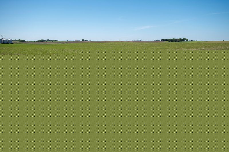 US soybean farmers, deserted by big buyer China, scramble for other importers