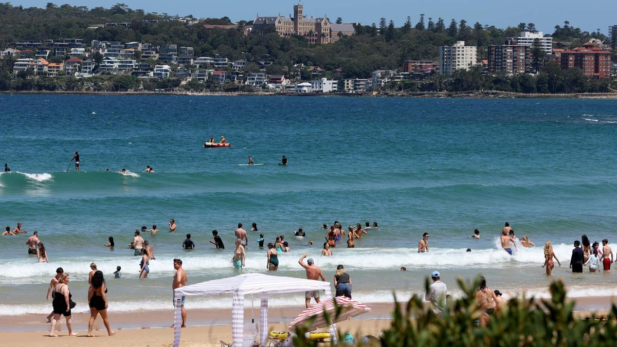Swimmers ordered out of water after shark spotted at Manly Beach, Nobbys Head