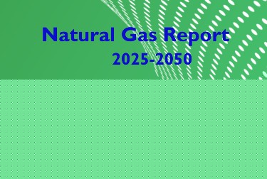 Comment on Natural Gas Report – 2025-2050 by Los países con las mayores reservas de gas natural que se recolectaron en este desarrollador de gráficos – Desde dentro – Noticias Desde Dentro