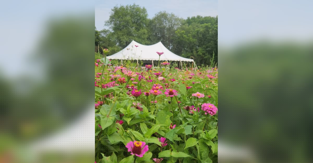 GALLERY: ‘Bloom Day’