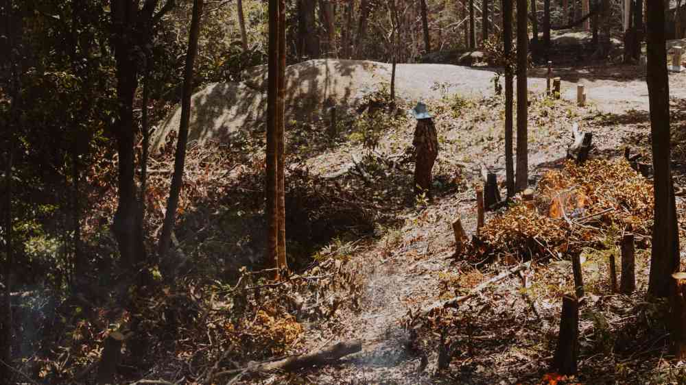 Community-led beneficial fire continues to grow in California