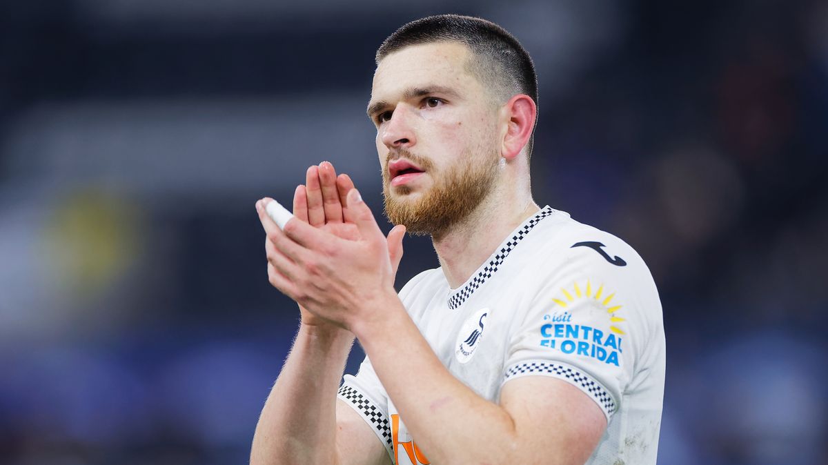Hull City's Zan Vipotnik offer revealed and the deal that's setting Swansea City's bar