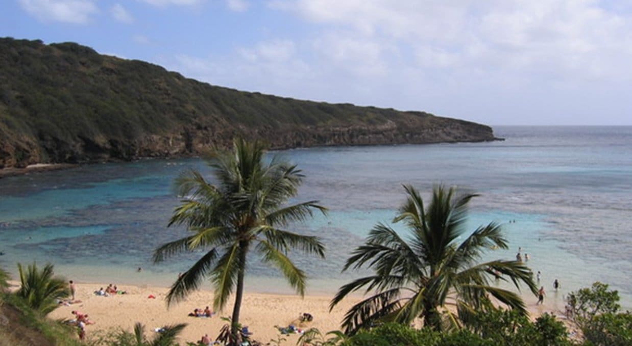 Hawaii Democrat’s Beach Rampage Ends With One-Punch Knockout